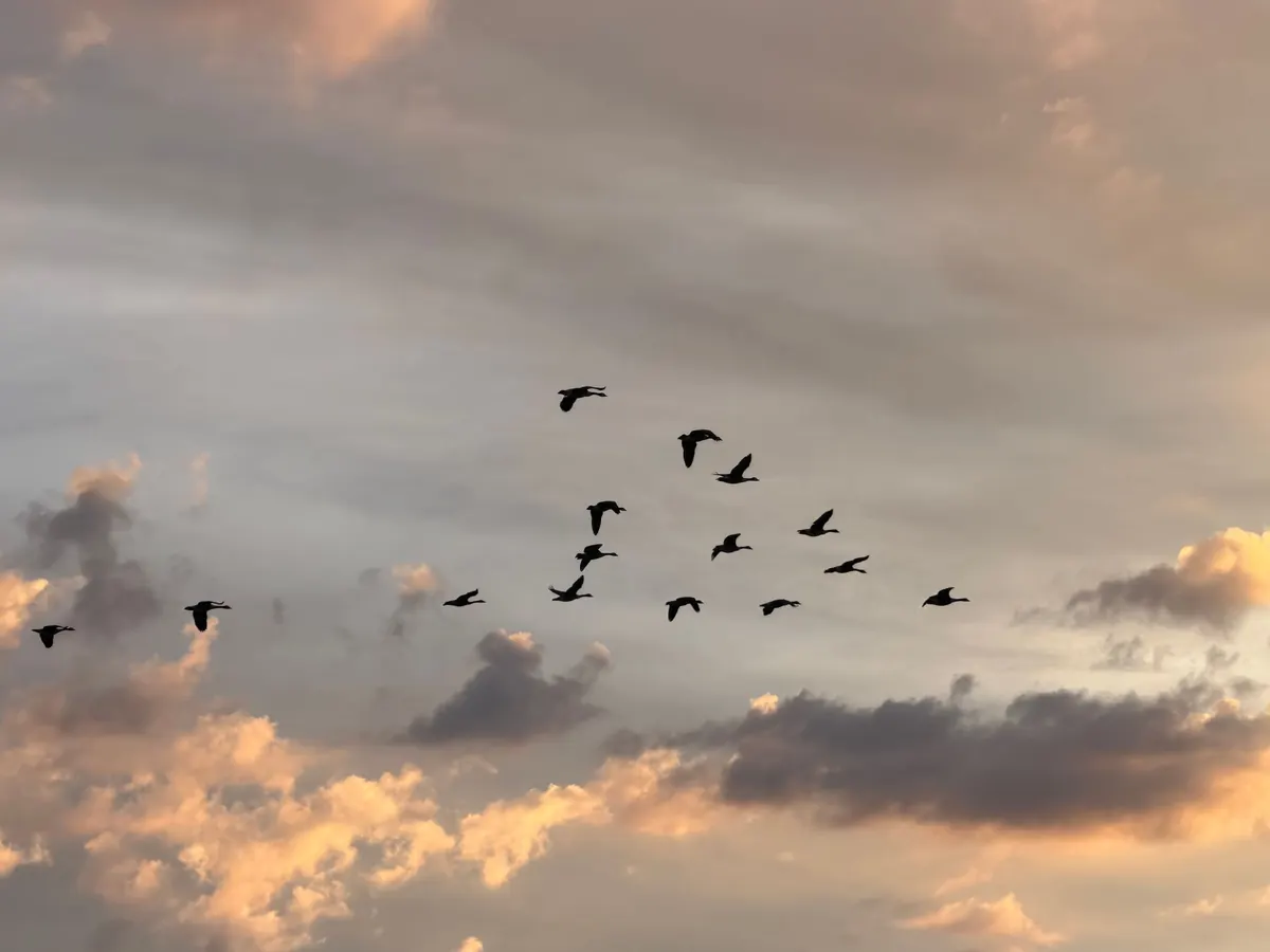 How to Migrate Your Business to the Cloud Without Downtime